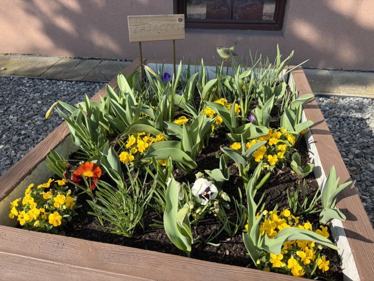 Wiosenne porządki i przygotowanie do Świąt