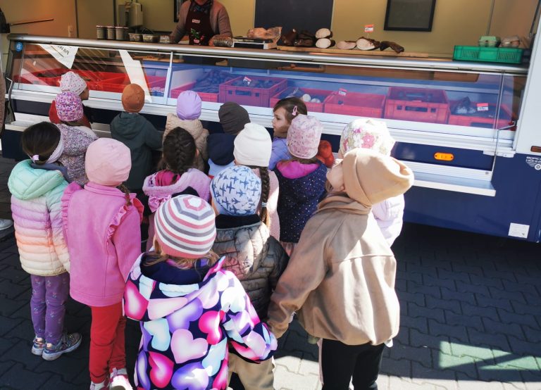 Ekopodróż Puchatków